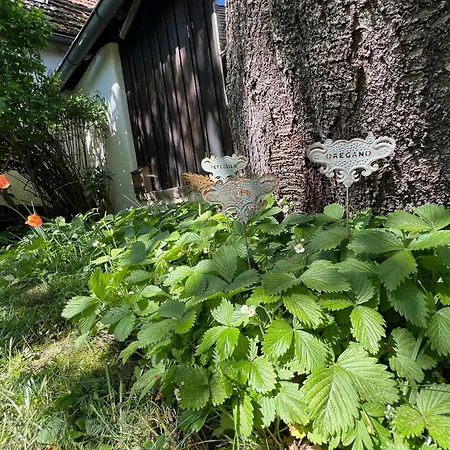 Forsthartl 7 Landhausurlaub Dom wakacyjny *