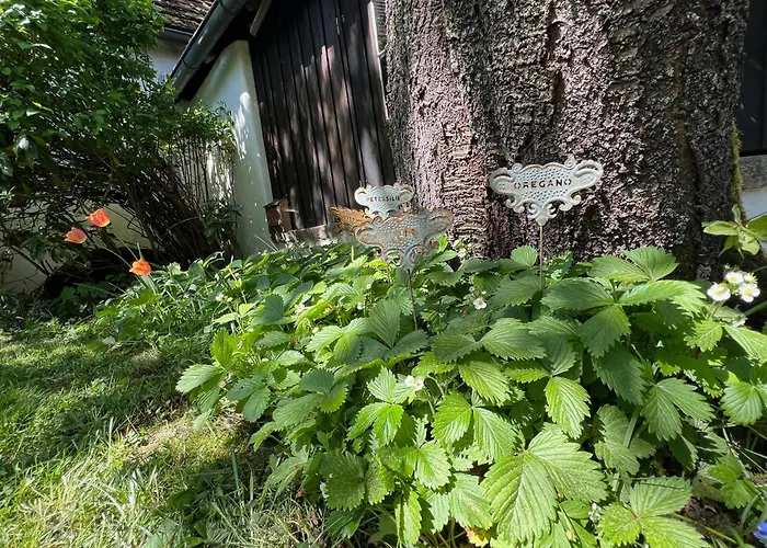 Forsthartl 7 Landhausurlaub 度假居 *